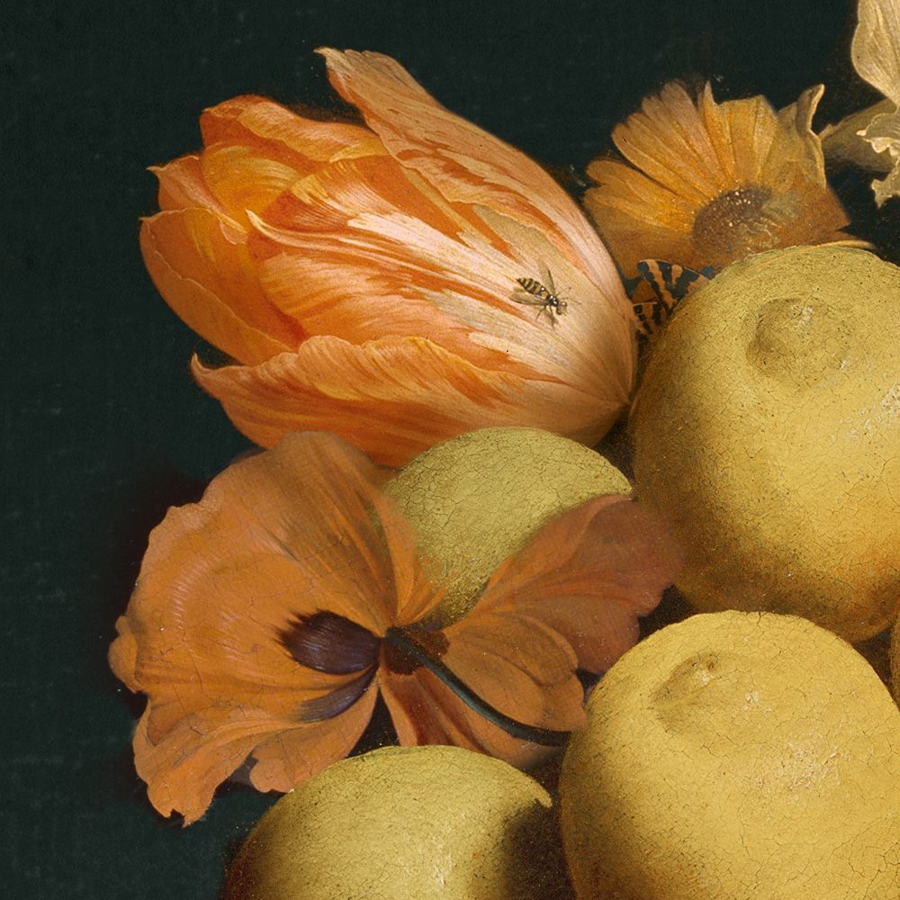 Decorative objects - Portrait Collector - Abel - IBRIDE