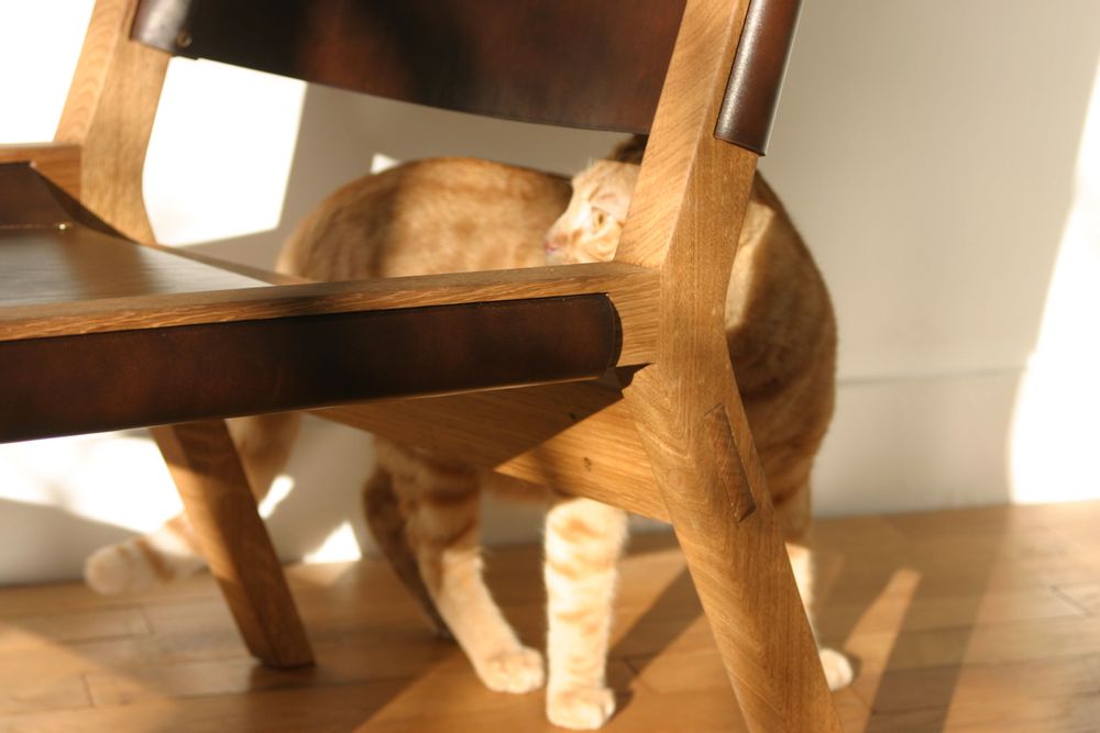 Armchairs - Armchair - FERGUS - DELABRANCHE FURNITURE