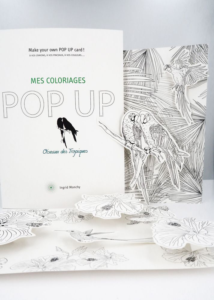 Customizable objects - Customizable POPUP cards - DIY - Tropical Birds - COLORIAGES POPUP