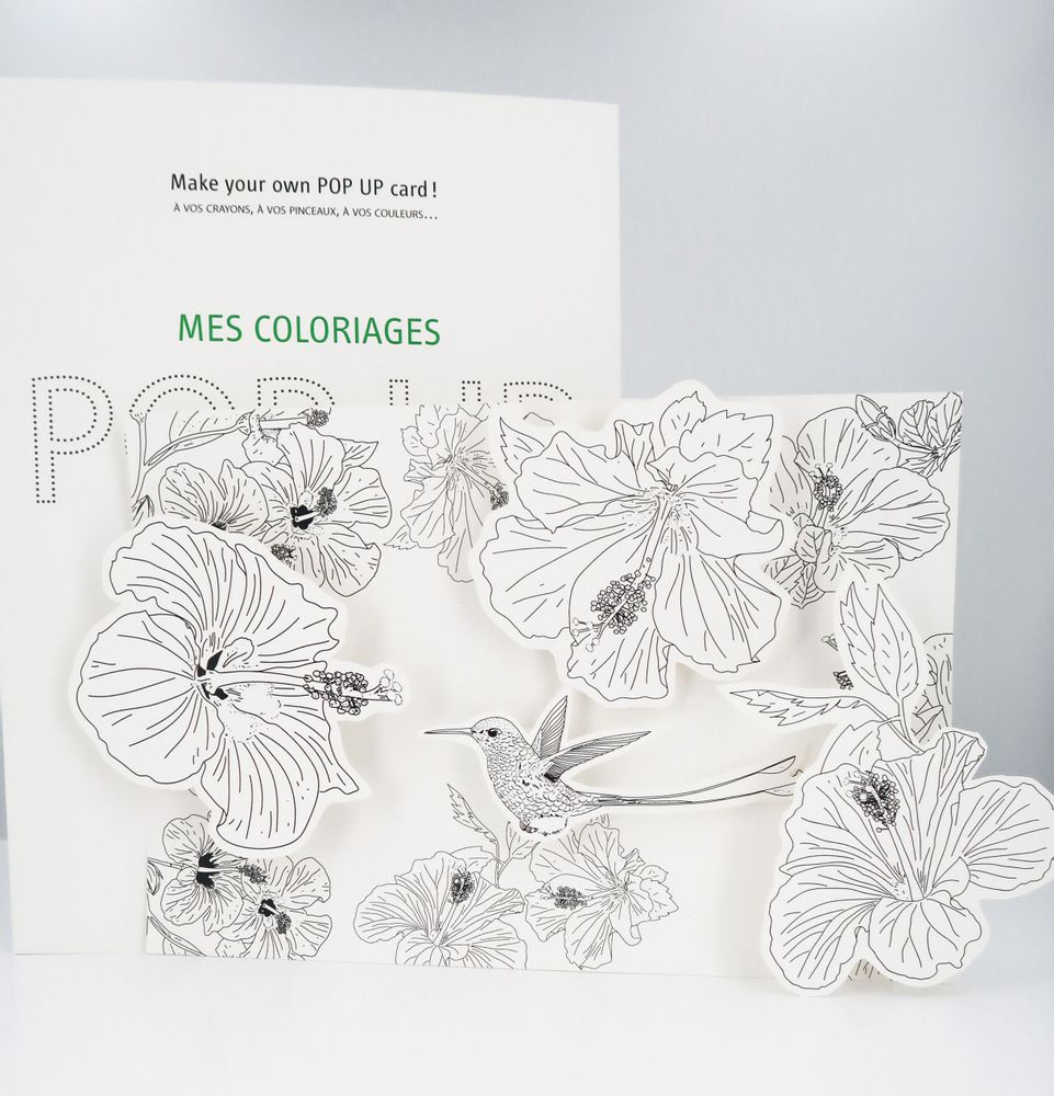 Customizable objects - Customizable POPUP cards - DIY - Tropical Birds - COLORIAGES POPUP