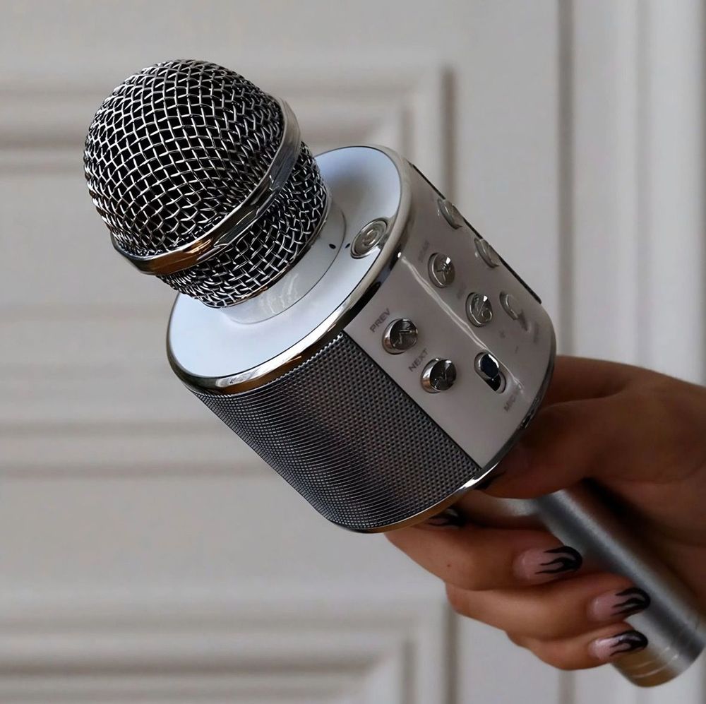 Enceintes et radios - Micro enceinte Karaoké sans fil 🎤 - L'AVANT GARDISTE