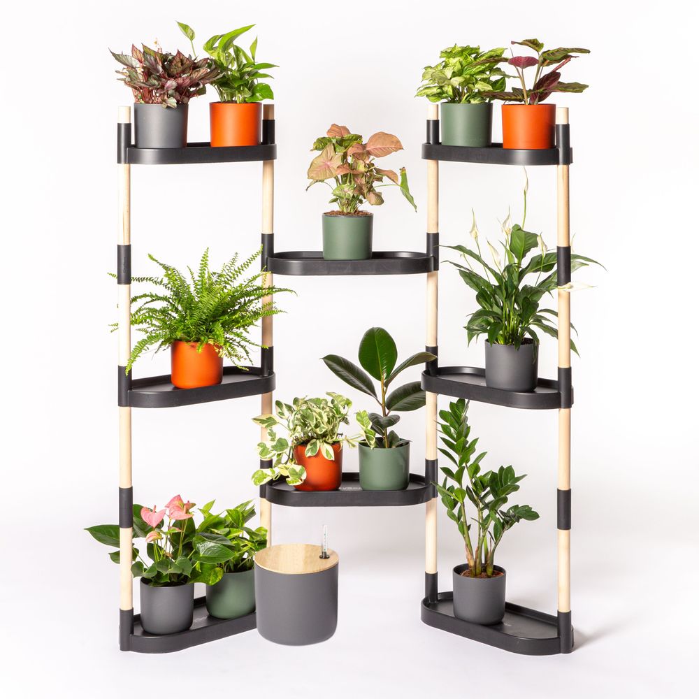 Shelves - CitySens Self-watering 8-tray plant shelves - CITYSENS