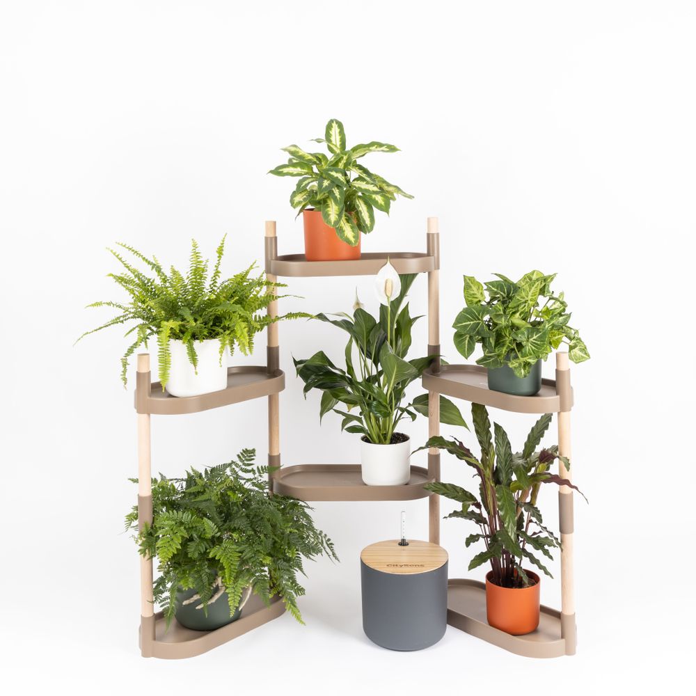 Shelves - Smart CitySens Modular Plant Shelves - CITYSENS