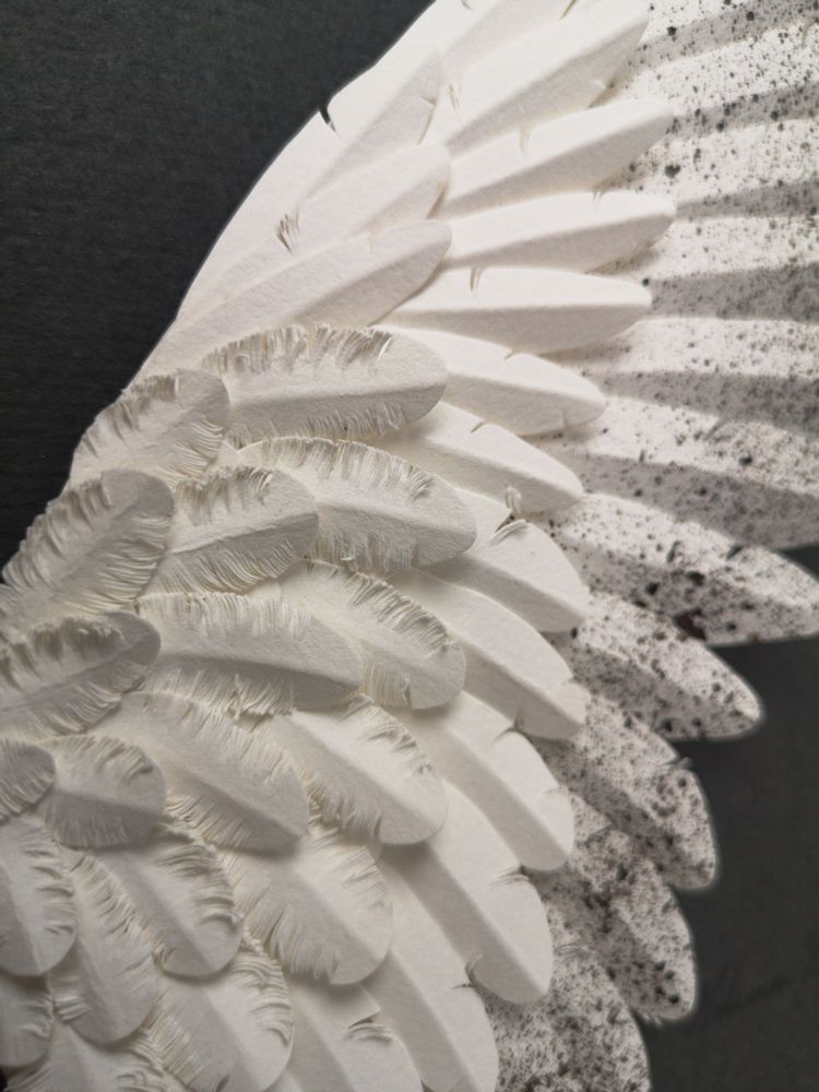 Objets de décoration - Bruissement, ailes en papier, encadrées - NOLVENN LE GOFF