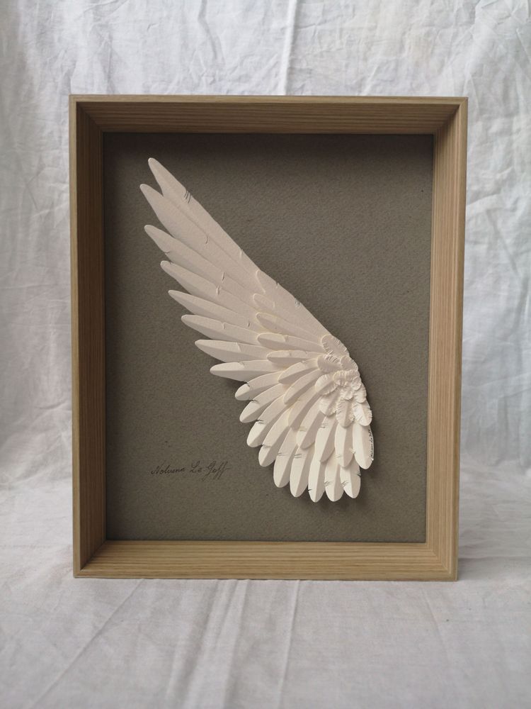 Objets de décoration - Bruissement, ailes en papier, encadrées - NOLVENN LE GOFF