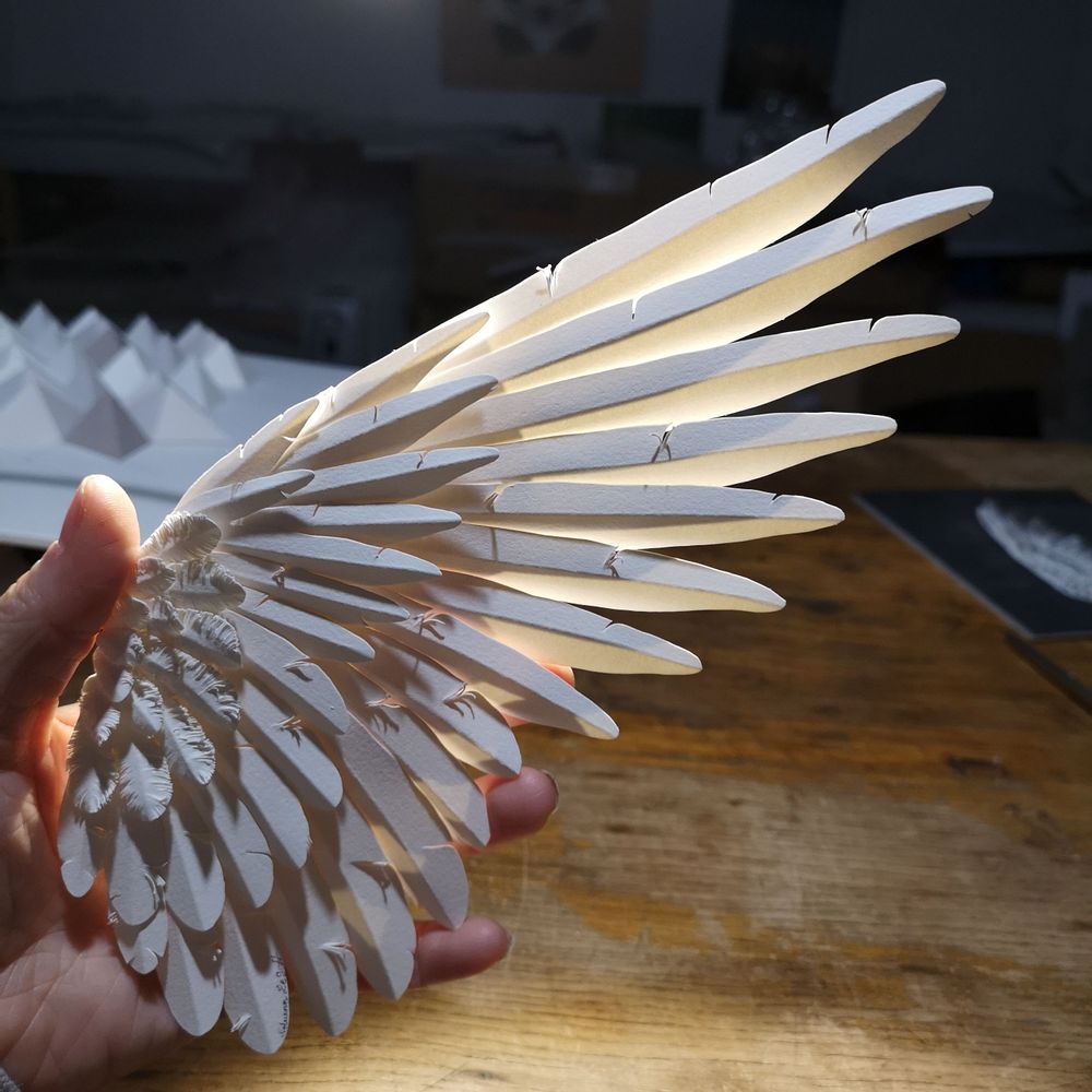 Objets de décoration - Bruissement, ailes en papier, encadrées - NOLVENN LE GOFF