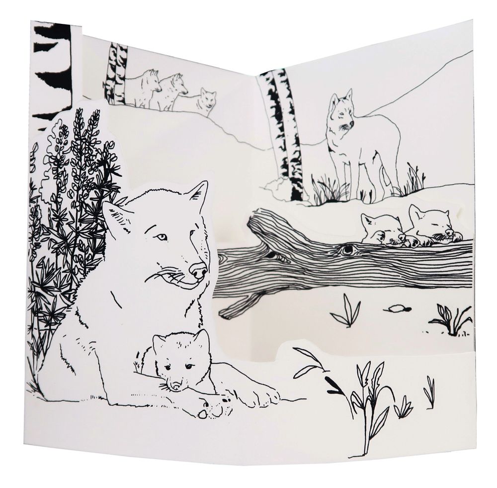 Gifts - Customizable cards - DIY - WOLF - COLORIAGES POPUP