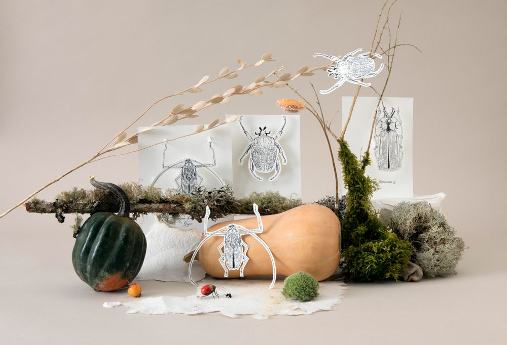 Gifts - Customizable cards - DIY - Giant beetles - COLORIAGES POPUP