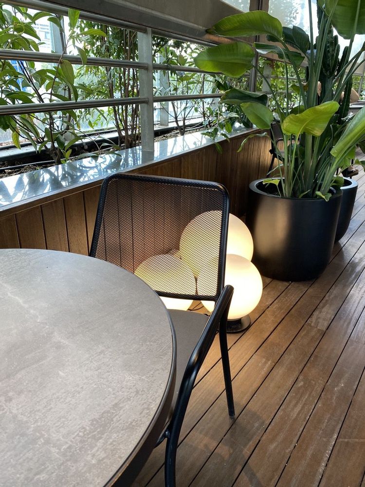 Deck chairs - MONACO Chair - RITZY FINE LIVING
