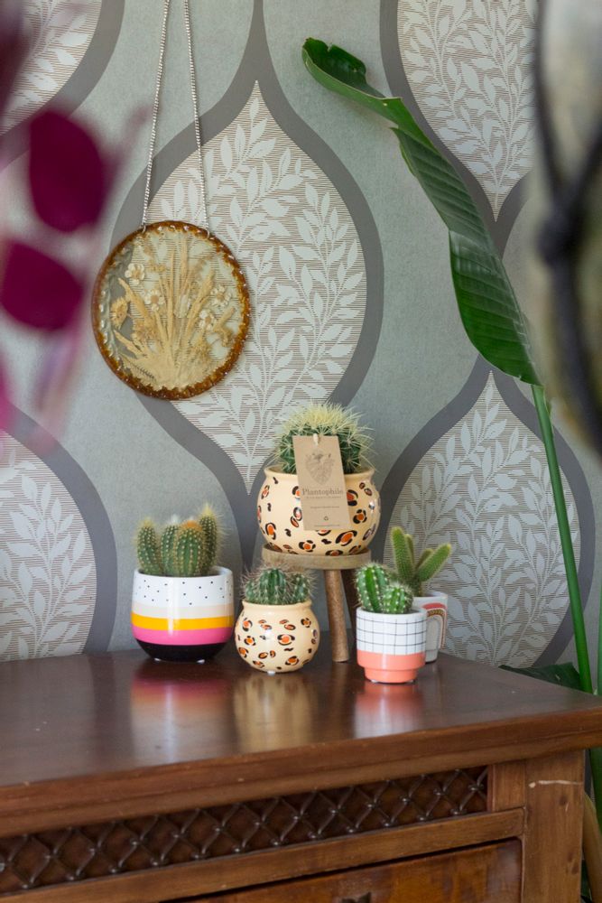 Objets de décoration - Cactus & succulent, ceramique BOHO assortie - small - PLANTOPHILE