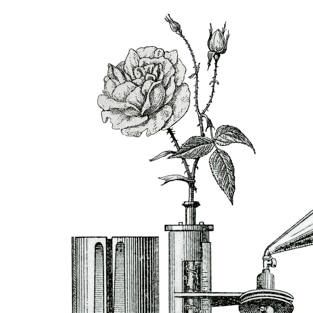 Poster - Artist poster - Rose thorn pruner and his sweet word counter - ANACHRONES
