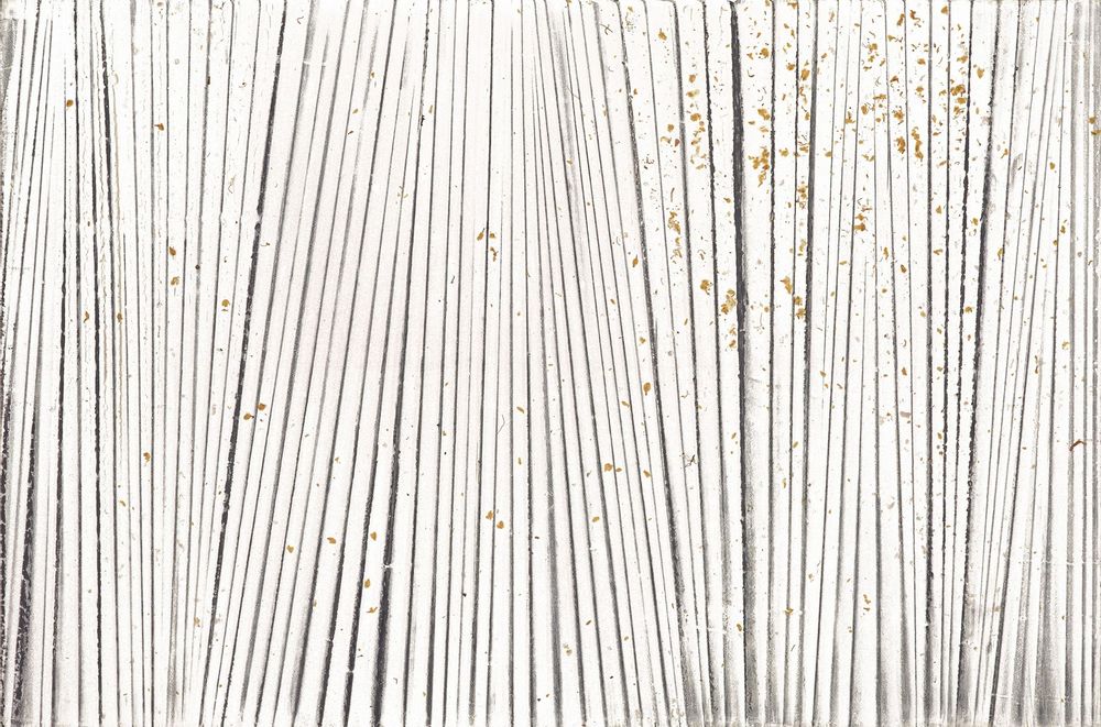 Curtains and window coverings - Infinity decorative window films. - ACTE-DECO