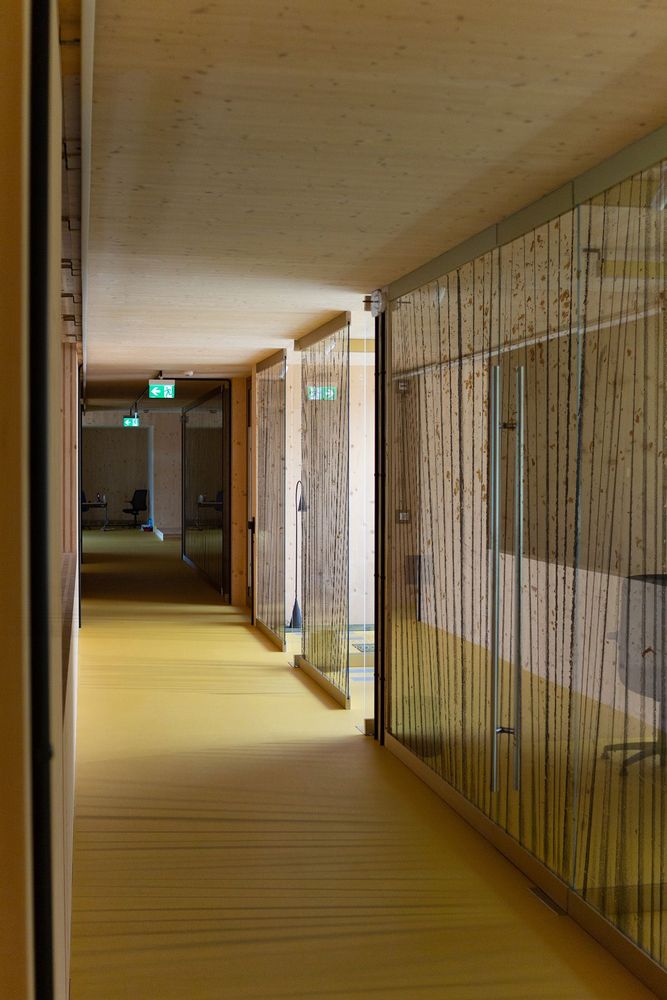 Curtains and window coverings - Infinity decorative window films. - ACTE-DECO