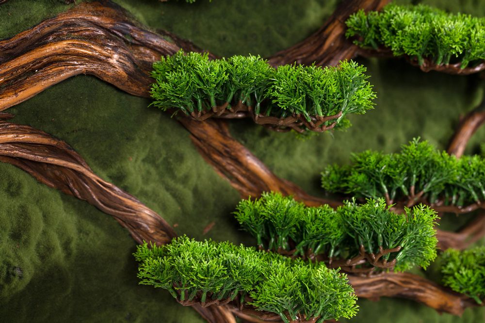 Other wall decoration - Thuja Large Table - 4 - Handmade Artificial Bonsai - OMNIA CONCEPT
