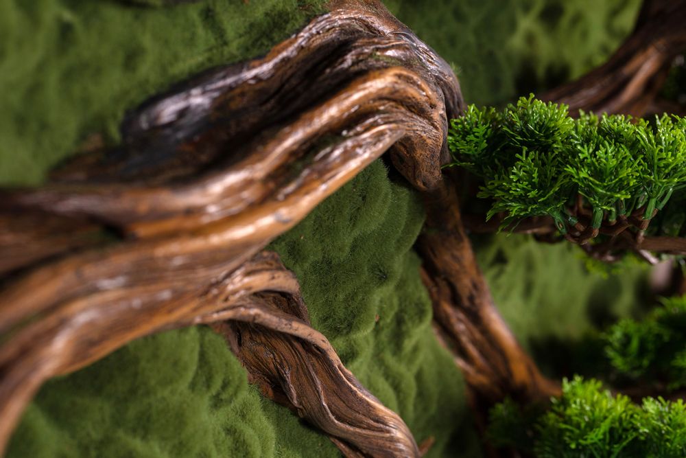 Other wall decoration - Thuja Large Table - 4 - Handmade Artificial Bonsai - OMNIA CONCEPT