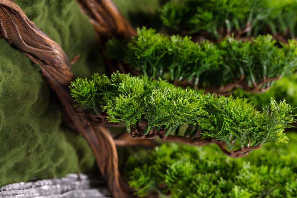 Other wall decoration - Thuja Large Table - 4 - Handmade Artificial Bonsai - OMNIA CONCEPT