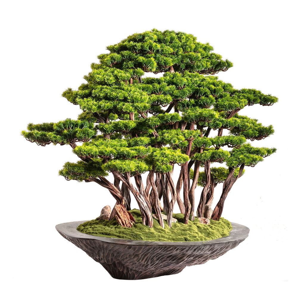 Decorative objects - Handmade decorative artificial bonsai. - OMNIA CONCEPT