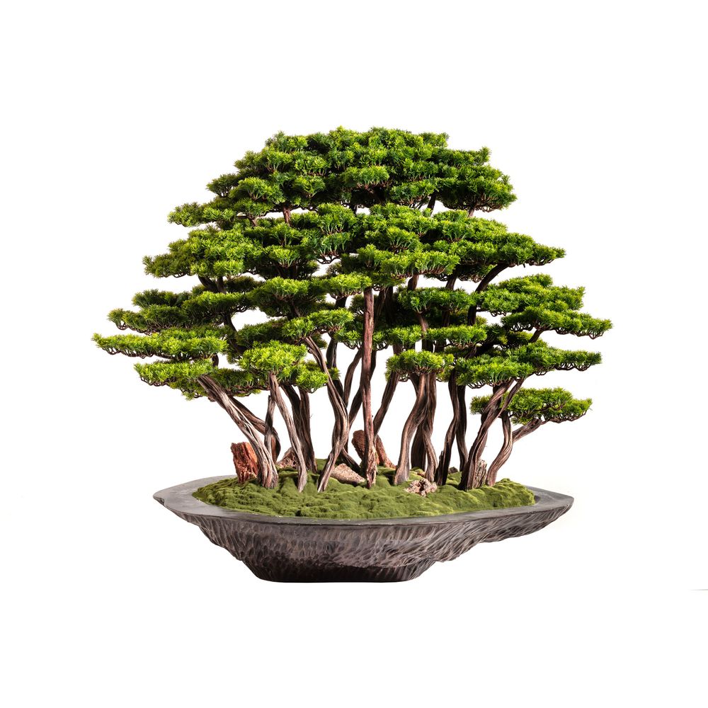 Decorative objects - Handmade decorative artificial bonsai. - OMNIA CONCEPT