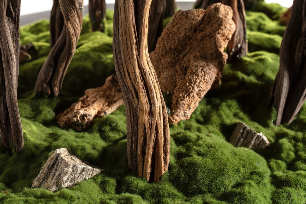 Decorative objects - Handmade decorative artificial bonsai. - OMNIA CONCEPT