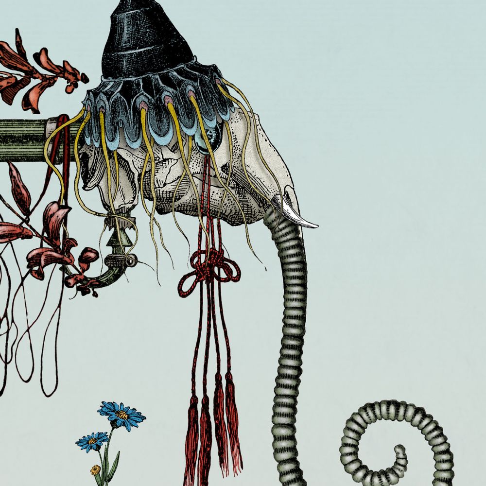 Affiches - Affiche d'art - Enjoliveur de résignation - ANACHRONES