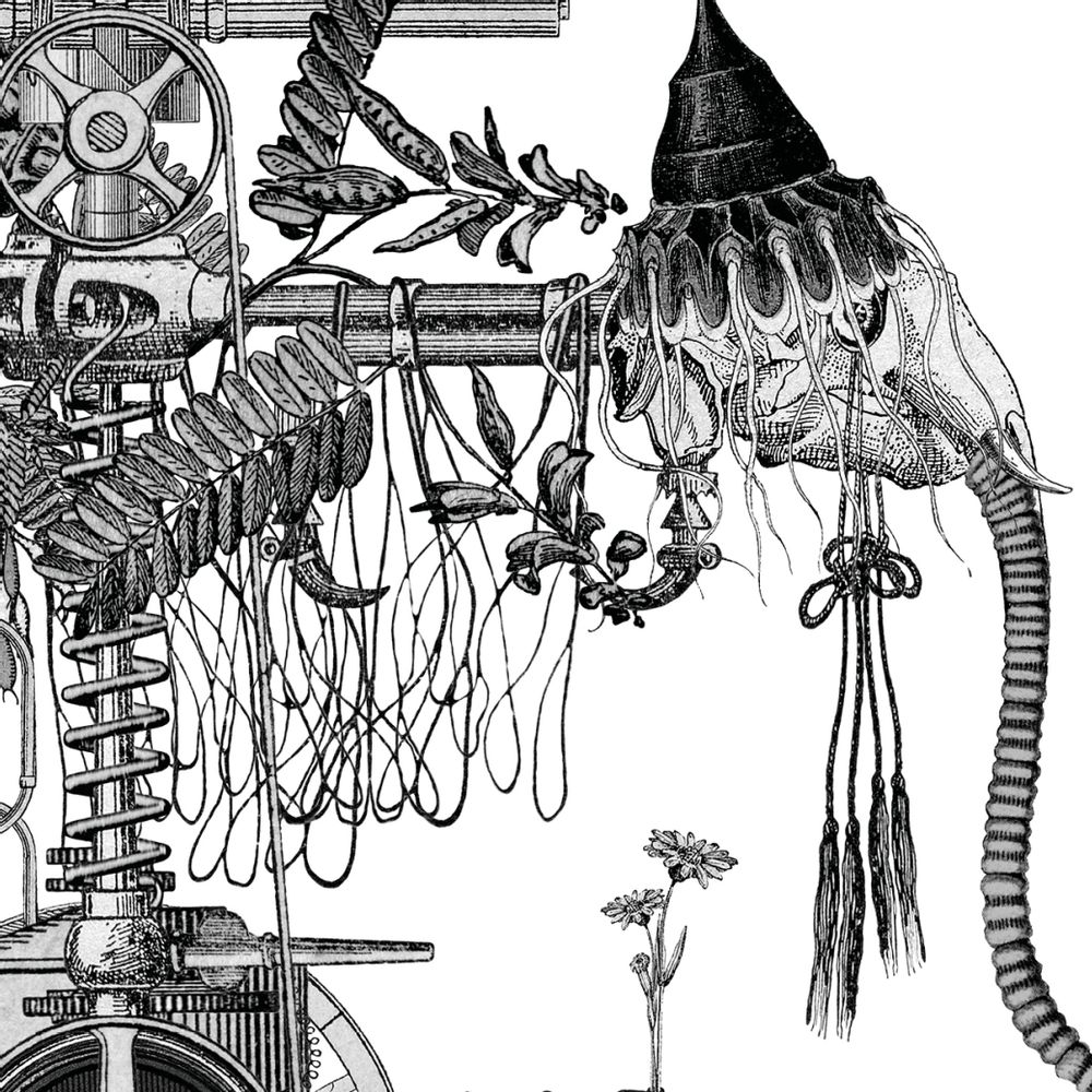 Affiches - Affiche d'art - Enjoliveur de résignation - ANACHRONES