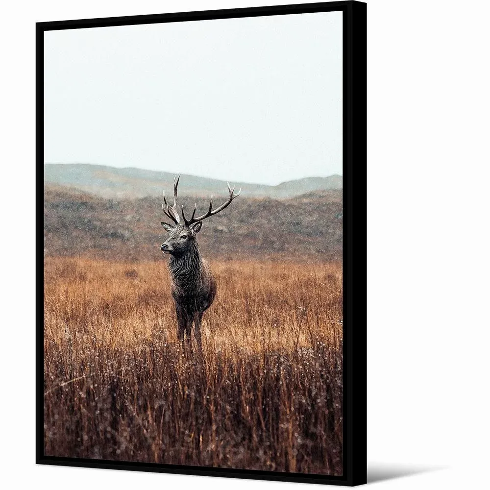 Paintings - Wall decorations - Montagne collection - PODEVACHE