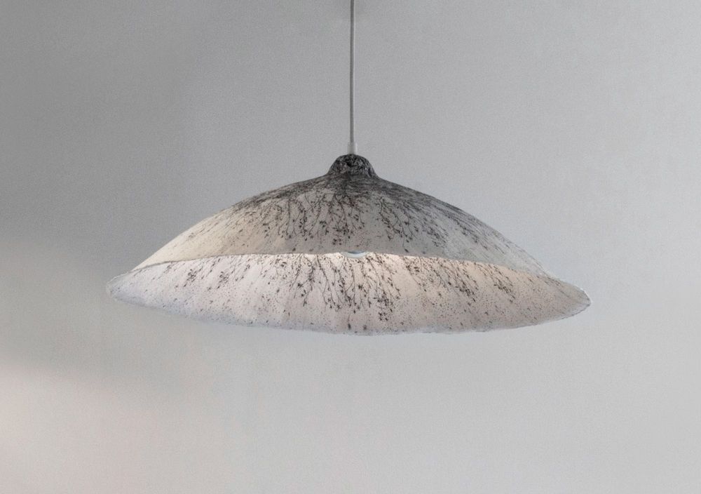 Hanging lights - Leaf suspension - N.LOBJOY
