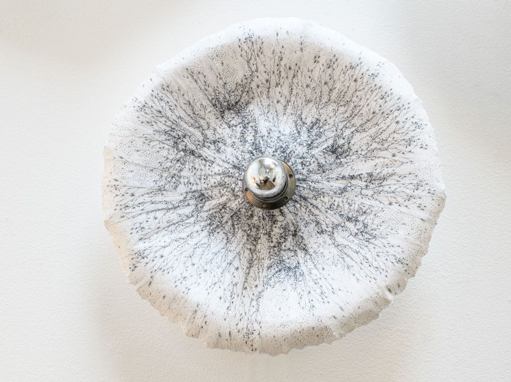 Wall lamps - Flower wall lamp - N.LOBJOY