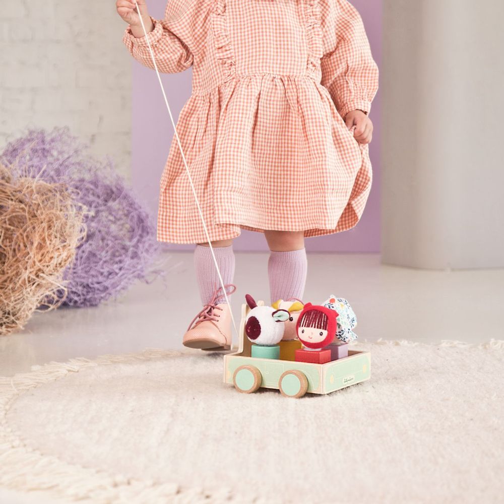 Toys - Louis pull along picnic car & shape sorter - LILLIPUTIENS