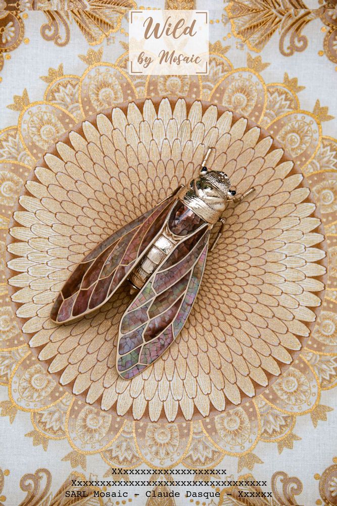 Objets de décoration - Boite Cigale Nacre naturelle & laiton recyclé - WILD BY MOSAIC