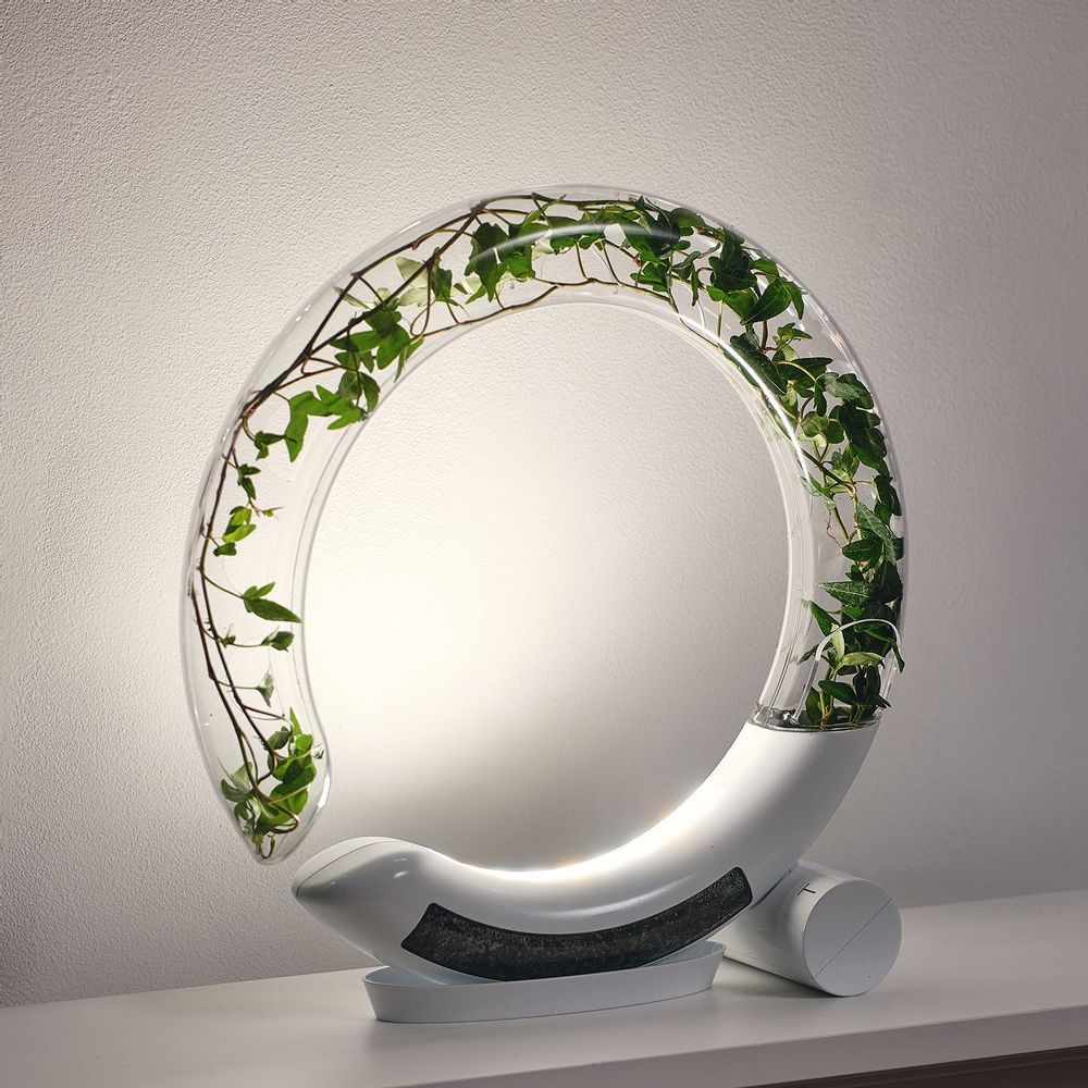 Vases - WINKTREE - PLTRIS