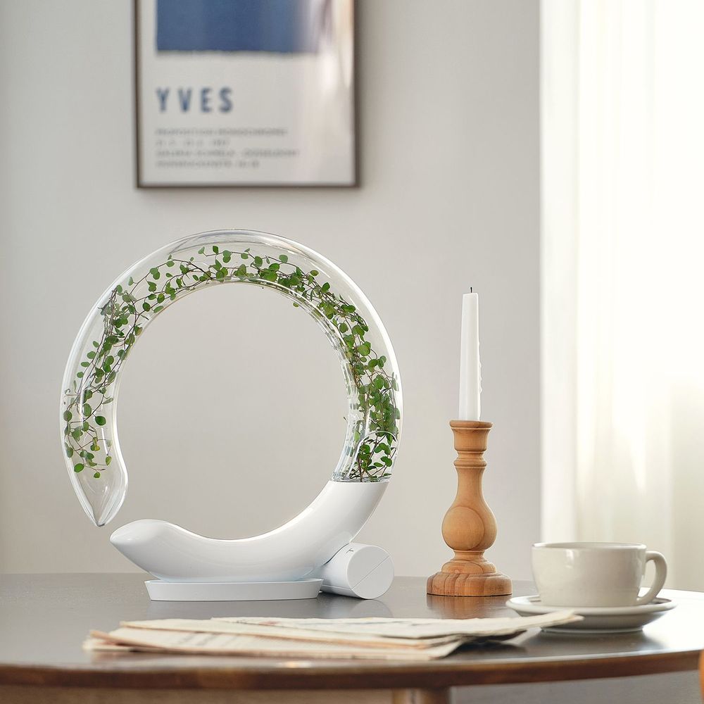 Vases - WINKTREE - PLTRIS
