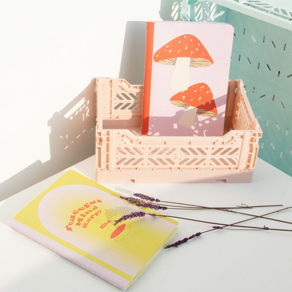 Papeterie bureau - CARNET DE NOTES EN COULEUR HF - HELIO FERRETTI