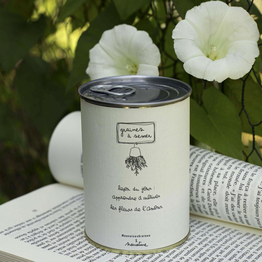 Decorative objects - Sowing kit\" Lesson of the day\ " - MAUVAISES GRAINES