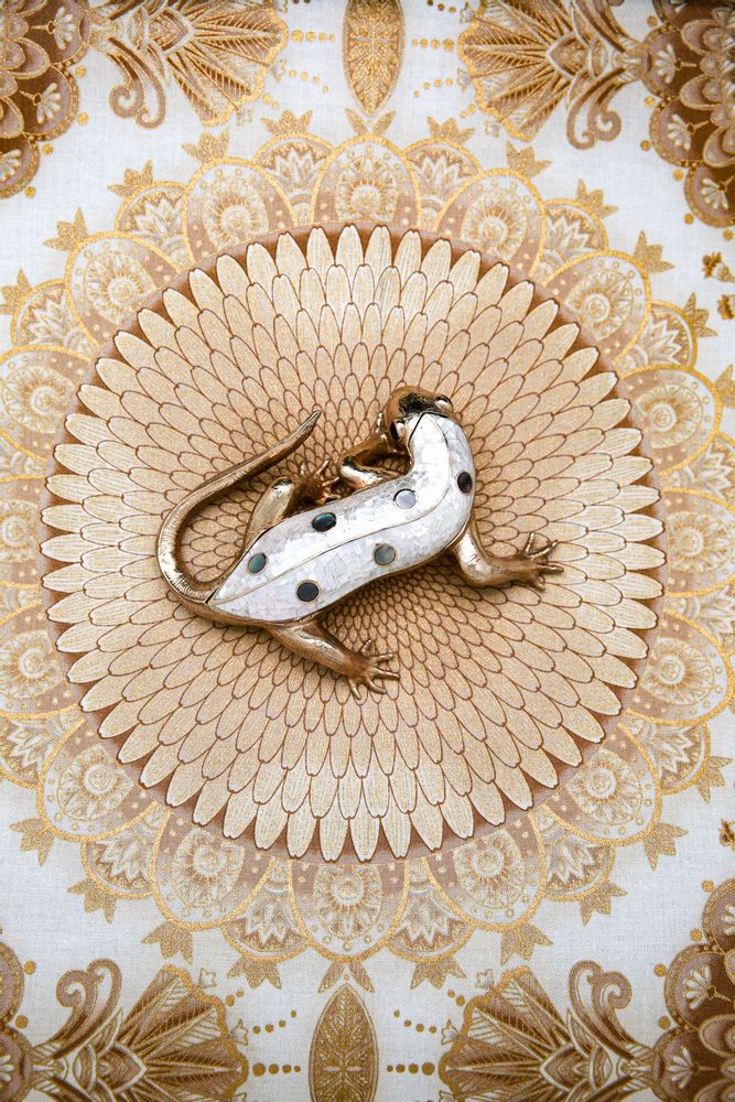 Caskets and boxes - Salamander mother-of-pearl & recycled brass box - WILD BY MOSAIC