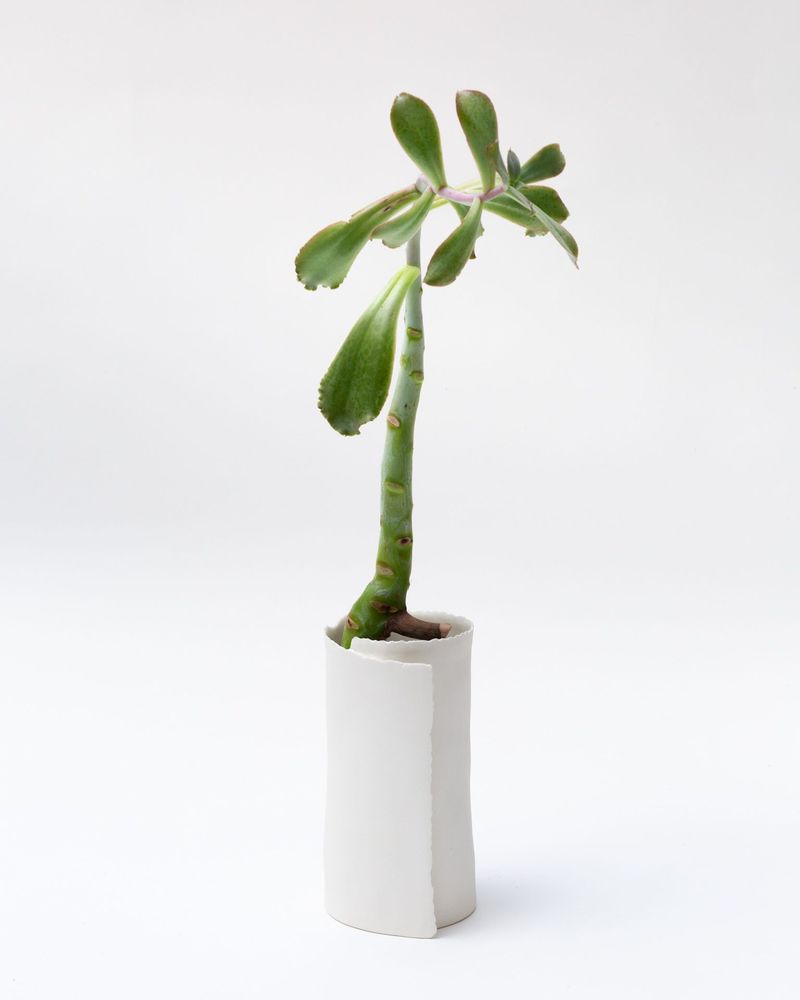 Vases - ARK 4 White vase biscuit porcelain H=19cm, D=9,5cm - YLVAYA DESIGN