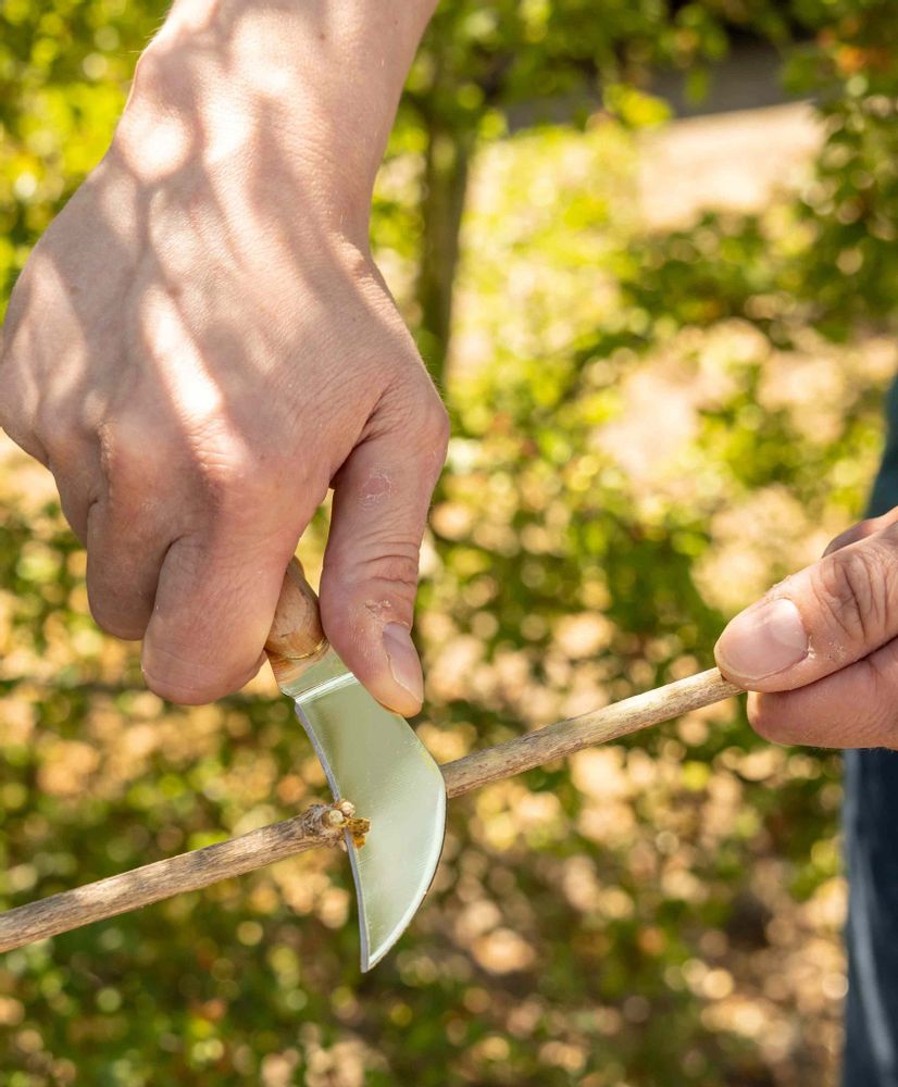 Garden accessories - GARDEN TOOLS for garden lovers and professionals: - ESSCHERT DESIGN