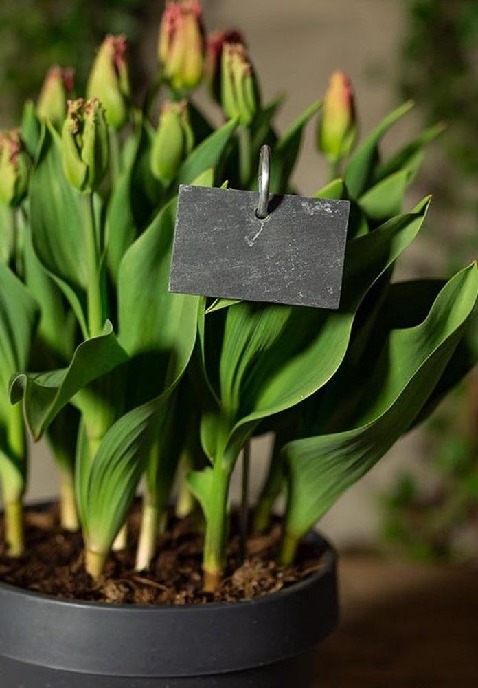 Garden accessories - GARDEN TOOLS for garden lovers and professionals: - ESSCHERT DESIGN