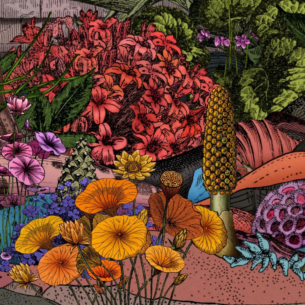 Affiches - Affiche d'art - Eden des follets de psyché - ANACHRONES