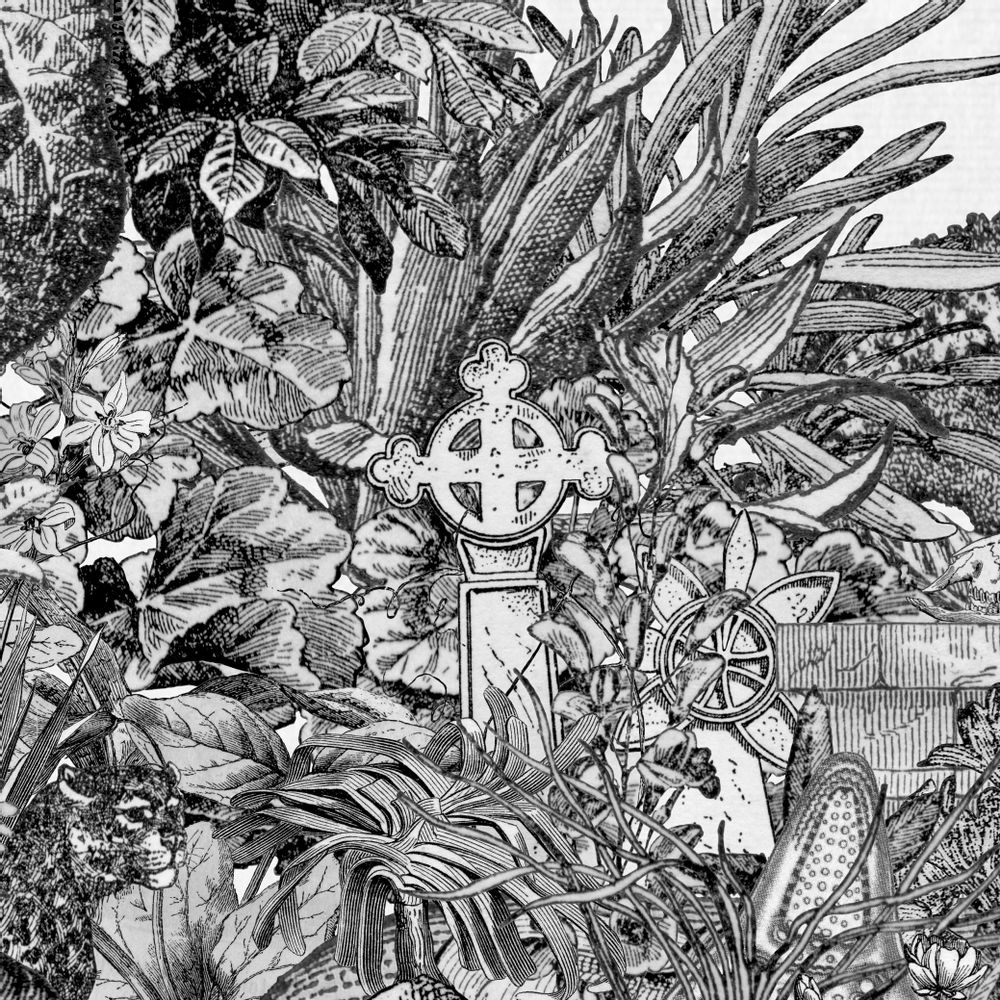 Affiches - Affiche d'art - Eden des follets de psyché - ANACHRONES