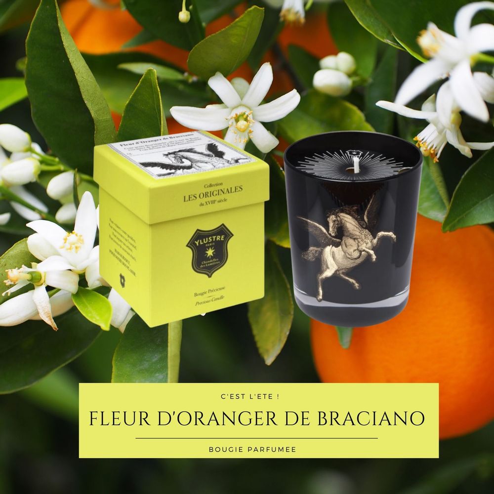 Gifts - Scented Candle: Bracciano Orange Blossom 180g. Vegetable wax. - YLUSTRE