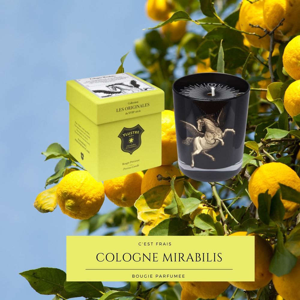 Decorative objects - Scented Candle: Cologne Mirabilis 180g. Vegetable wax. Luxury box. - YLUSTRE