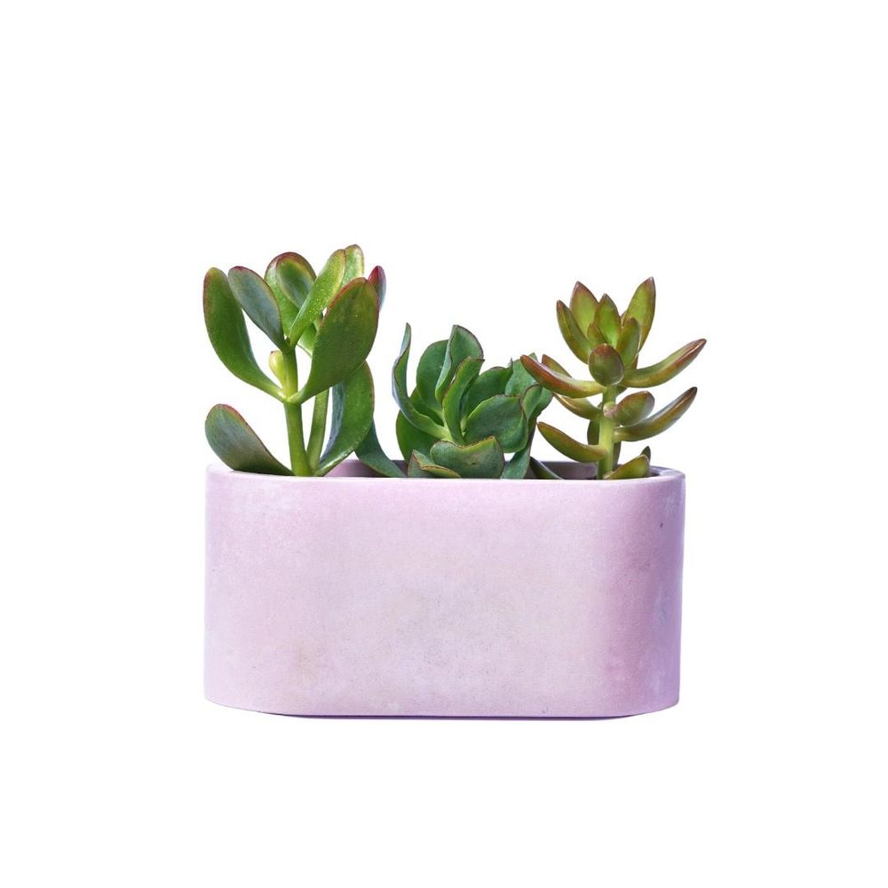 Jardinières - Jardinière en béton coloré - JUNNY