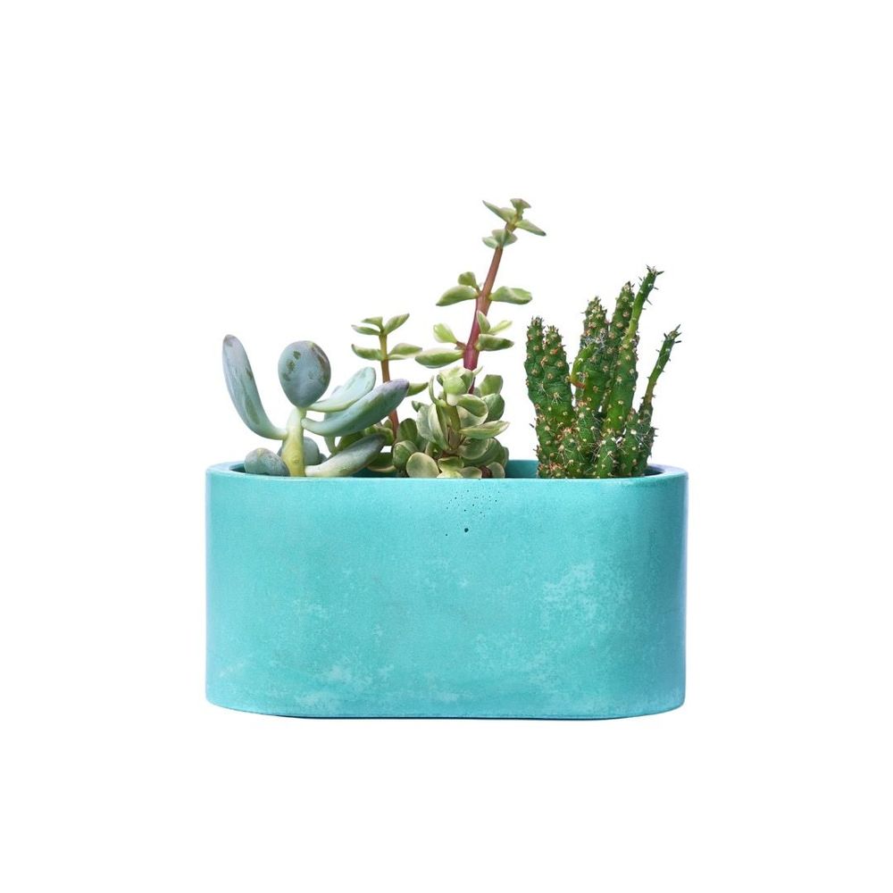 Jardinières - Jardinière en béton coloré - JUNNY