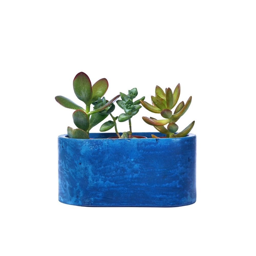 Jardinières - Jardinière en béton coloré - JUNNY