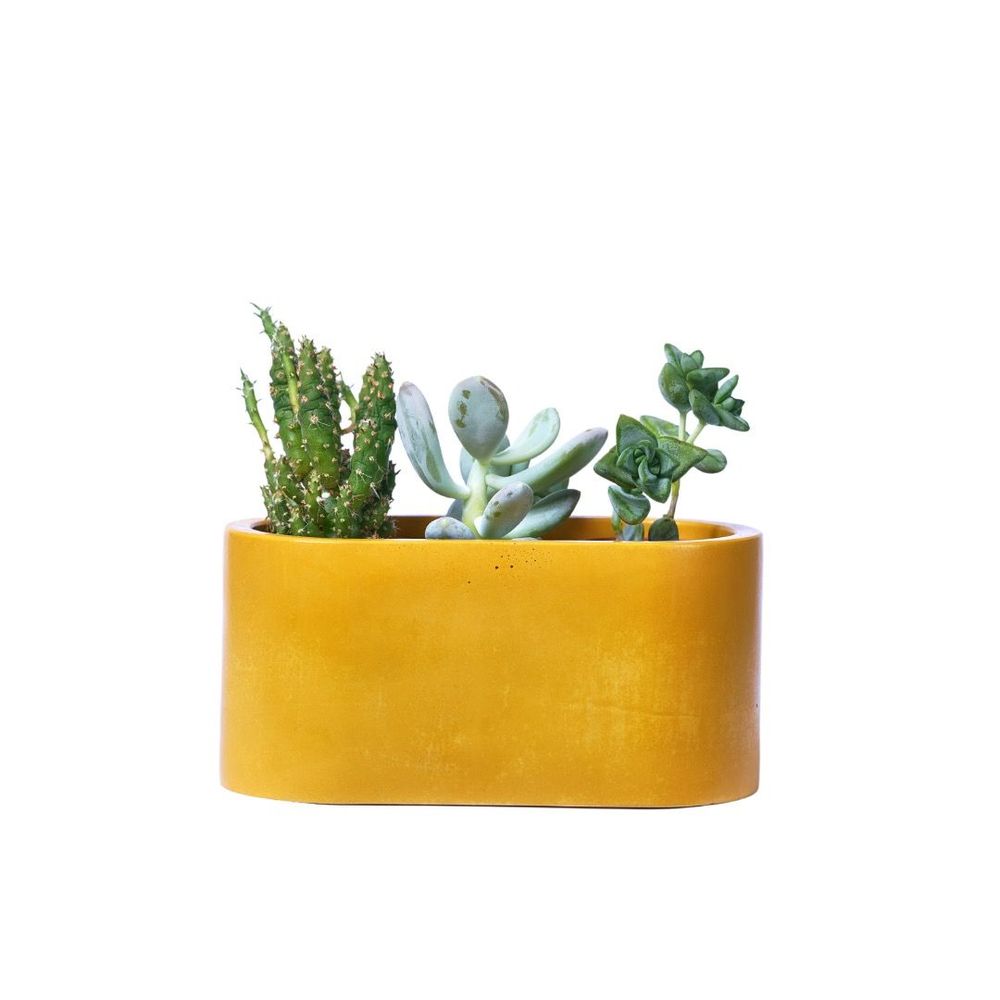 Jardinières - Jardinière en béton coloré - JUNNY