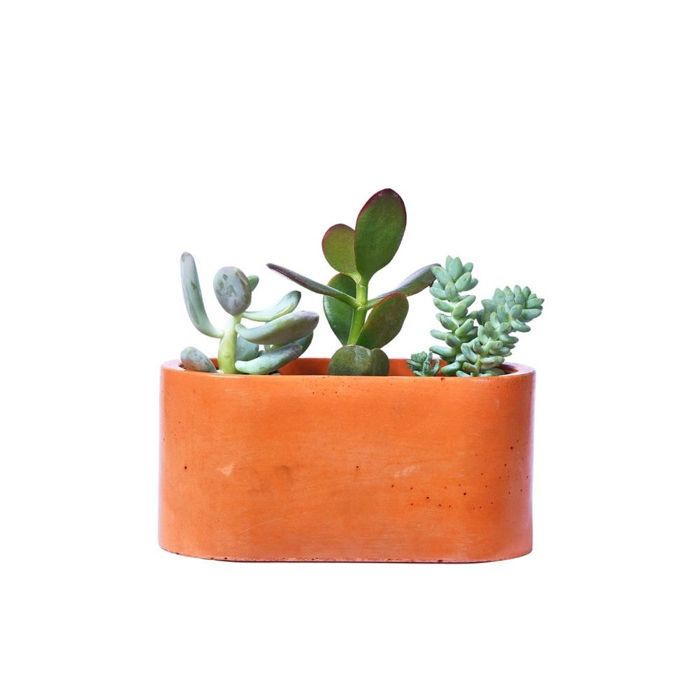 Jardinières - Jardinière en béton coloré - JUNNY