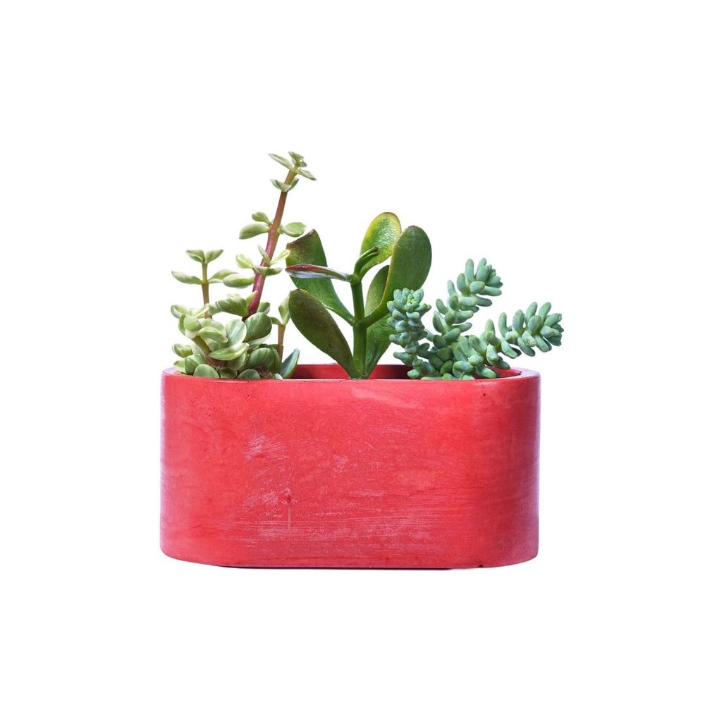 Jardinières - Jardinière en béton coloré - JUNNY