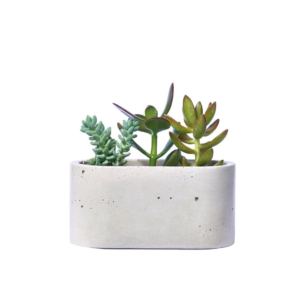 Jardinières - Jardinière en béton coloré - JUNNY
