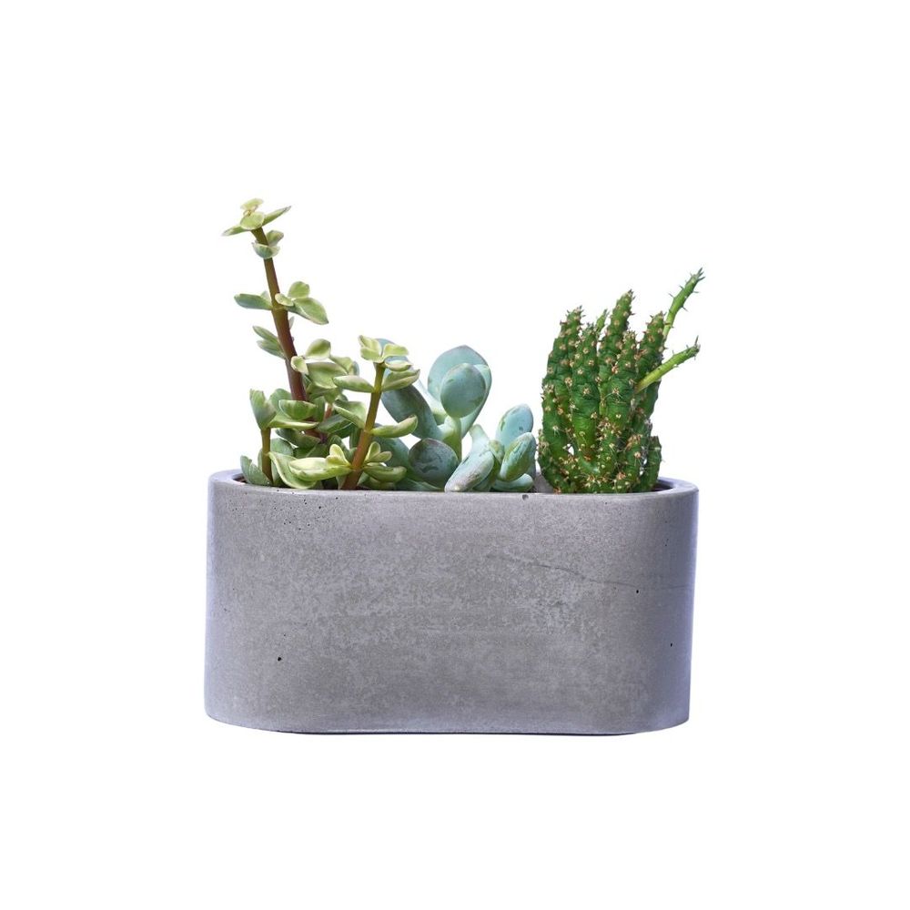 Jardinières - Jardinière en béton coloré - JUNNY
